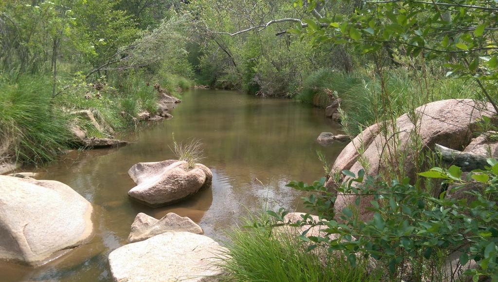 Fishing the Verde River